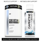 Creatine + Carnitine Bundle Metabolism and Muscle Support