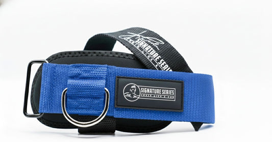 Jay Cutler Signature Series D Ring Lifting Straps