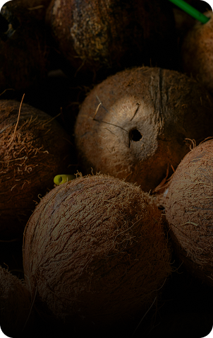 Coconut Water Powder